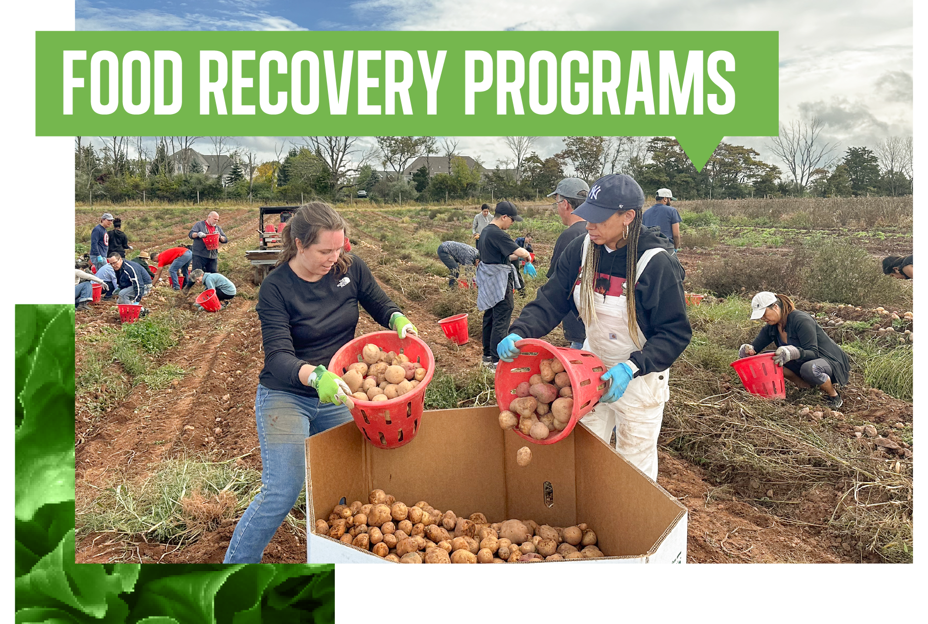 YIR Artwork-2024-foodrecovery_BulkRecovery_Title2.png