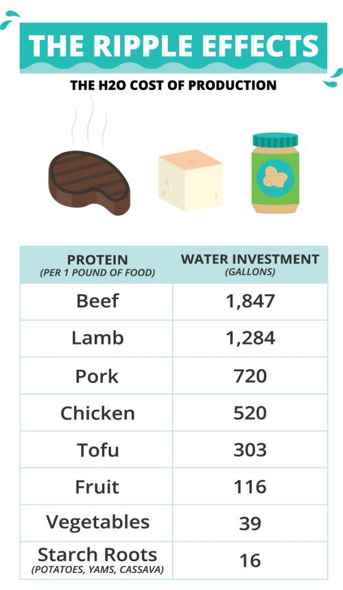 Water Consumption by 1lb of food