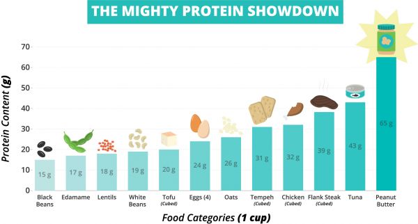 Protein Alternatives: 1 cup peanut butter = 65 grams of protein 1 cup tuna = 43 grams of protein 1 cup oats = 26 grams of protein 1 cup tofu = 20 grams of protein 1 cup white beans = 19 grams of protein 1 cup lentils = 18 grams of protein 1 cup edamame = 